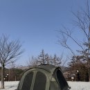 작은마을, 작은숲 | 춘천 글램핑 금옥골숲속작은마을 - 서울 근교 춘천 글램핑장