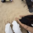 대한투어 - 서대문구 연희로 83 | 대한투어