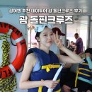 돌고래 | 괌 여행 돌핀크루즈 투어 예약 돌고래투어 스노쿨링 후기