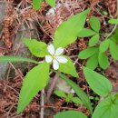 권행농장 이미지