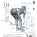코리아 스포츠센터 이미지