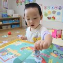 화계유치원 | 두돌아기전집 공룡대발이, 추피, 베베코알라, 도레미곰 비교 후기