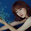 미래행정사사무소 이미지