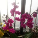 정골농장 이미지