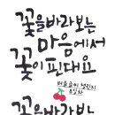 광희에세이 이미지