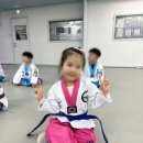 삼성체육도장 이미지