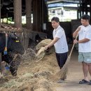 길풍목장 이미지