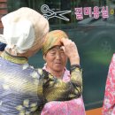 파마하는날 이미지