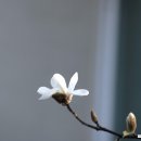 강현면사무소 이미지