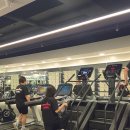 온리원짐PT 청천점 | 선릉역 헬스장 스포애니 테헤란로점 시설·PT·기구 총정리