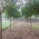 비안농장 이미지