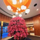 [미국뉴욕 여행숙소] 하얏트 계열 그레이슨 호텔 4성급 후기 | 뉴욕 호텔 추천 | Grason hotel | The...