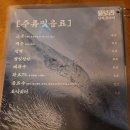 물보라포차