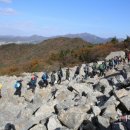 달마고도 이미지