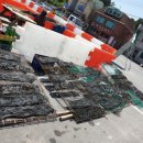 삼거리펜션민박 이미지