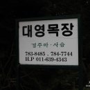 대영목장 이미지