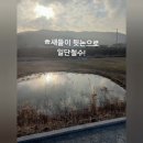 수문2-1 이미지