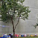 묵호어린이집 | 그럼에도 이 또한 지나가겠지