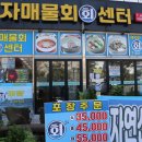 부산 오시리아 기장읍맛집 자매물회