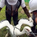 황새공원 다목적광장 이미지