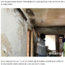 웅양면-31 이미지