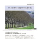 민들레숲협동조합 이미지