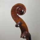 올라센코 | 🎻 NEW첼로구매일지 (#업그레이드)