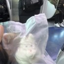 다잡아 아케이드 네이버블로그