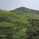 부산통일관 Daum카페