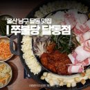 세븐일레븐울산삼산대로점 | 울산 남구 달동 맛집 쭈불당 쭈꾸미 삼산 삼산동 한식 추천