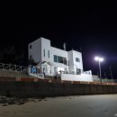 거제비타민씨 이미지