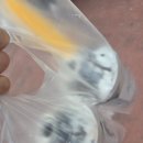 삼육서울병원 | 회기역카페 컴포즈커피 삼육서울병원점 가본 후기