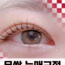 눈썹짱 이미지