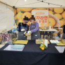 고흥유자석류축제 | [여행] 2025 고흥유자축제 방문 후기(애견동반여행)