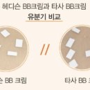 슈닥터