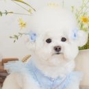 썸머's 헤어 이미지