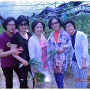 권호농장 이미지