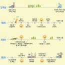 코타 키나발루 가이드맨 | 코타키나발루 단독투어 패키지여행 가이드 예약