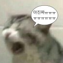 목화상점