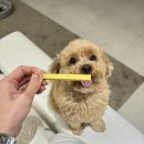 맑음약국 앞 이미지