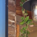 의제한의원 이미지