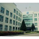 다파로 이미지