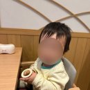 택스컴 | 2026 4박 5일 벳푸-후쿠오카 여행 3일차