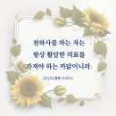 천하사 이미지