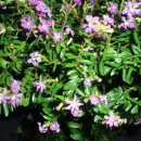 뚝길따라 이미지