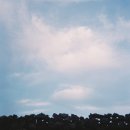 스튜디오 월영 | 당신도 도전하면 알게 될 거야, 필름사진을 왜 찍는지! [안산필름사진/필름현상스캔/필름사진원데이]