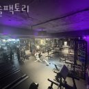 머슬팩토리 easy 이미지