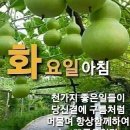 *아침 편지함(11월29일)고장난 벽시계는 멈추었는데* 이미지