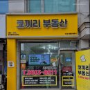 코끼리부동산공인중개사사무소 | 화곡동부동산 코끼리부동산공인중개사사무소 안전한 매물만 중개