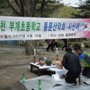 부개초등학교 이미지